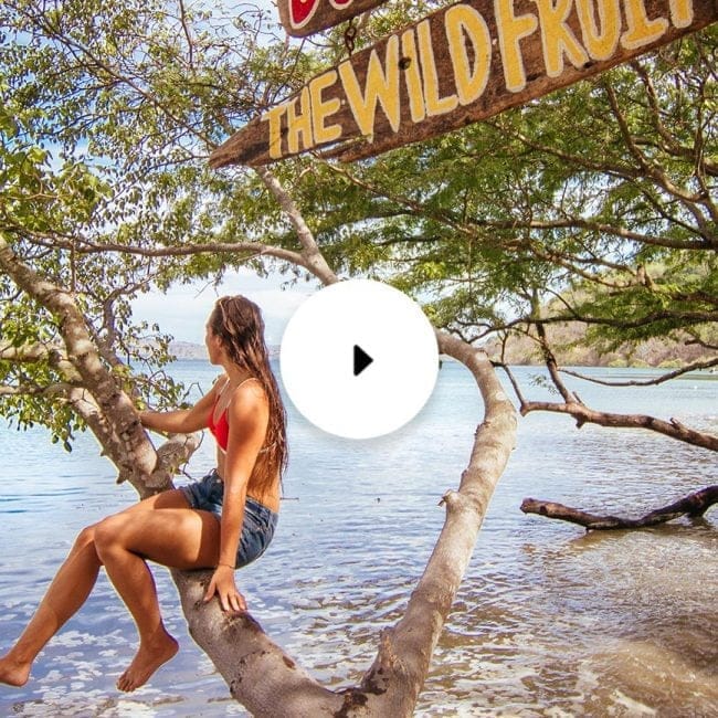 andaz papagayo beach club