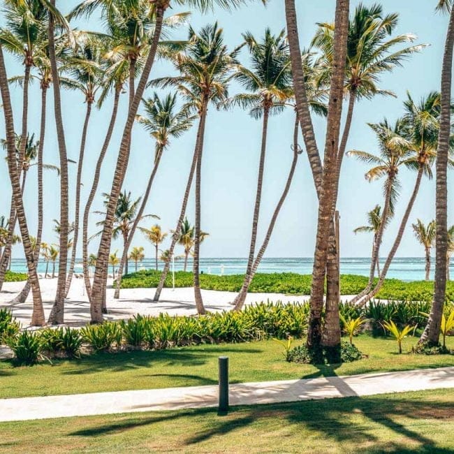 view from king room westin punta cana